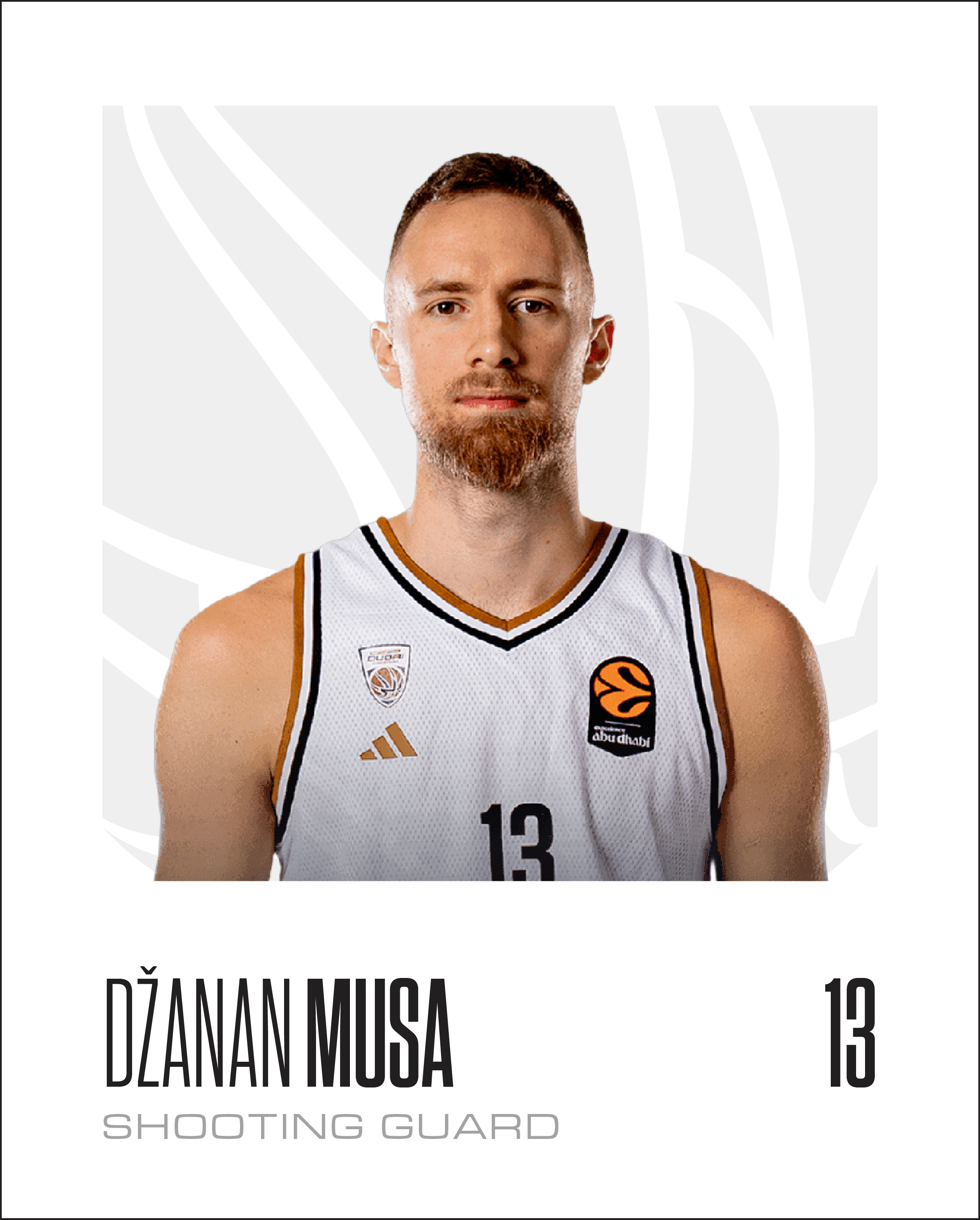 Dzanan Musa