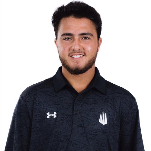 Mohammad Alrawashdeh
