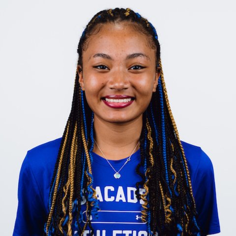 Ariya Hook